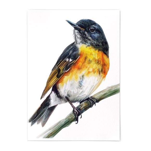 Watercolor American Redstart Bird Print Unframed - Wall Art Bird Illustration - Picture 2 of 5